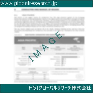 グローバルリサーチ調査資料のイメージ